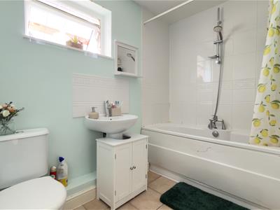 Picture 11